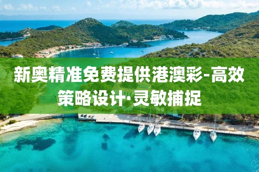 新奧精準免費提供港澳彩-高效策略設計·靈敏捕捉
