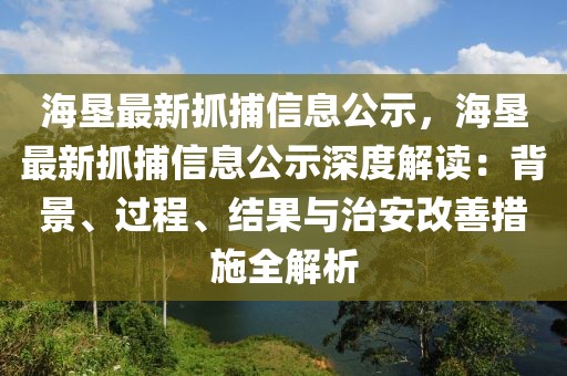 海墾最新抓捕信息公示，海墾最新抓捕信息公示深度解讀：背景、過程、結果與治安改善措施全解析