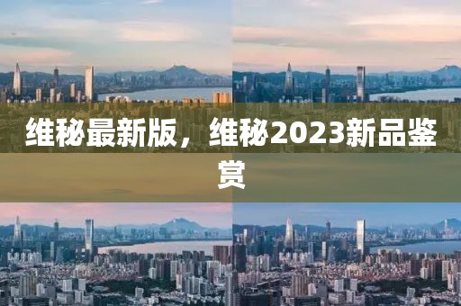 維秘最新版，維秘2023新品鑒賞