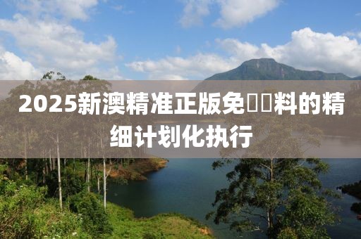 2025新澳精準正版免費資料的精細計劃化執行