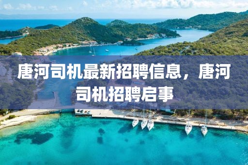唐河司機(jī)最新招聘信息，唐河司機(jī)招聘啟事