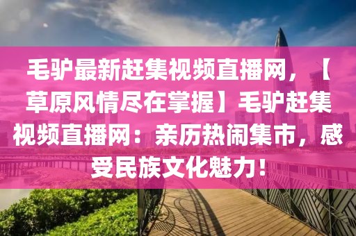 毛驢最新趕集視頻直播網，【草原風情盡在掌握】毛驢趕集視頻直播網：親歷熱鬧集市，感受民族文化魅力！