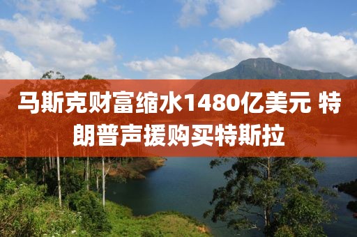 馬斯克財富縮水1480億美元 特朗普聲援購買特斯拉