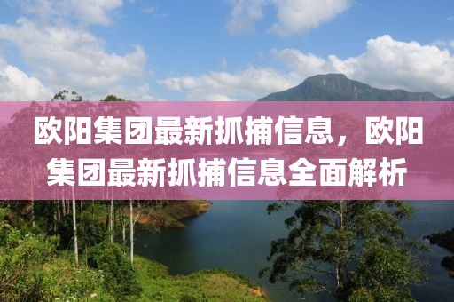 歐陽集團最新抓捕信息，歐陽集團最新抓捕信息全面解析