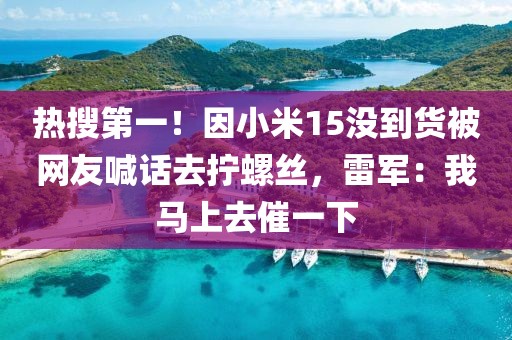 熱搜第一！因小米15沒到貨被網友喊話去擰螺絲，雷軍：我馬上去催一下