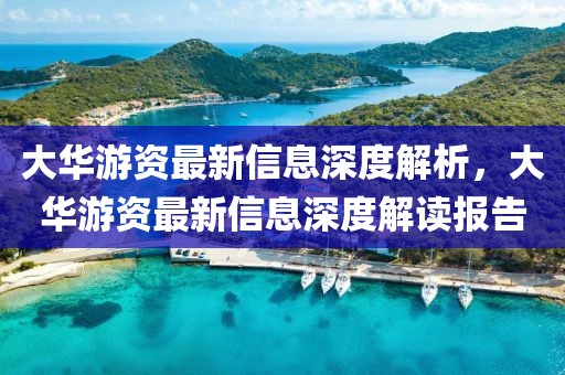 大華游資最新信息深度解析，大華游資最新信息深度解讀報(bào)告
