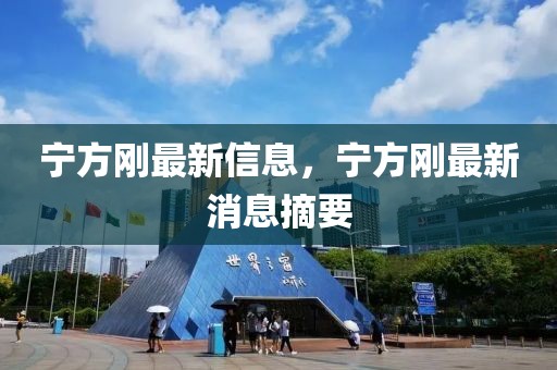 寧方剛最新信息，寧方剛最新消息摘要
