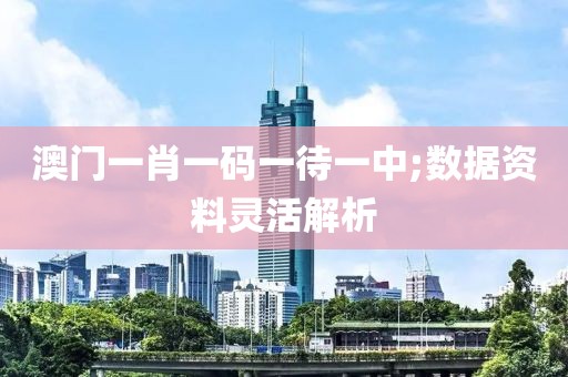 澳門一肖一碼一待一中;數據資料靈活解析