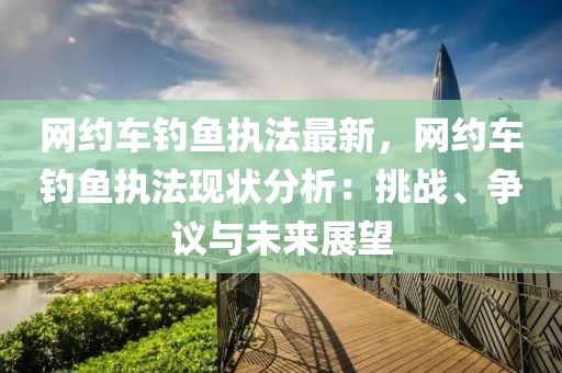網約車釣魚執法最新，網約車釣魚執法現狀分析：挑戰、爭議與未來展望
