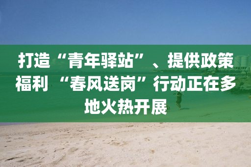 打造“青年驛站”、提供政策福利 “春風送崗”行動正在多地火熱開展