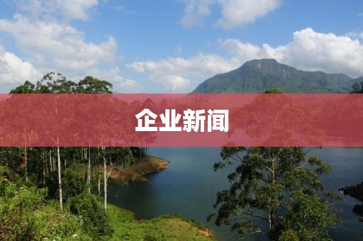 huamei 第38頁
