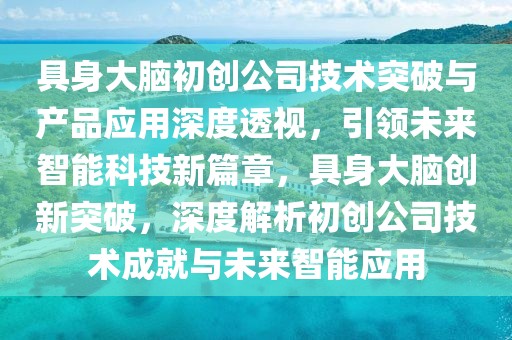 具身大腦初創公司技術突破與產品應用深度透視，引領未來智能科技新篇章，具身大腦創新突破，深度解析初創公司技術成就與未來智能應用