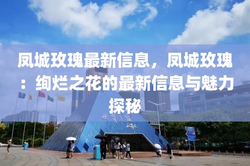 鳳城玫瑰最新信息，鳳城玫瑰：絢爛之花的最新信息與魅力探秘