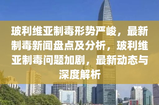 玻利維亞制毒形勢(shì)嚴(yán)峻，最新制毒新聞盤點(diǎn)及分析，玻利維亞制毒問題加劇，最新動(dòng)態(tài)與深度解析