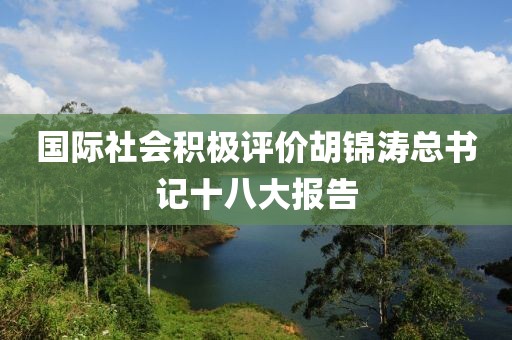 國際社會積極評價胡錦濤總書記十八大報告