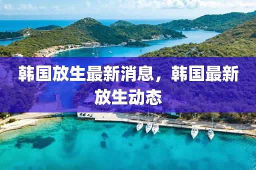 韓國放生最新消息，韓國最新放生動態