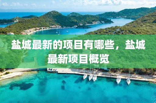 鹽城最新的項(xiàng)目有哪些，鹽城最新項(xiàng)目概覽