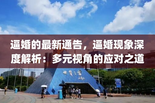 逼婚的最新通告，逼婚現象深度解析：多元視角的應對之道
