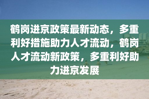 鶴崗進京政策最新動態，多重利好措施助力人才流動，鶴崗人才流動新政策，多重利好助力進京發展