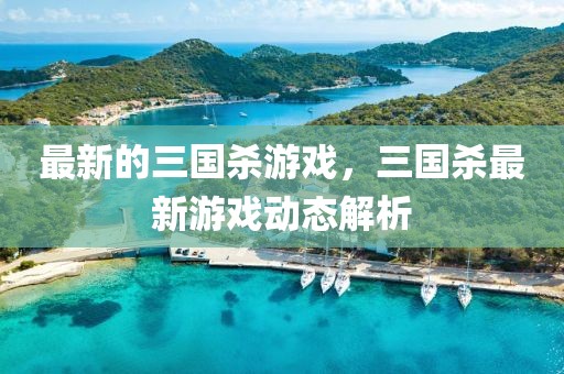 最新的三國(guó)殺游戲，三國(guó)殺最新游戲動(dòng)態(tài)解析