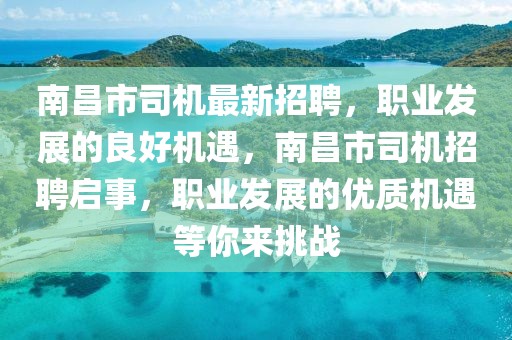 南昌市司機最新招聘，職業發展的良好機遇，南昌市司機招聘啟事，職業發展的優質機遇等你來挑戰