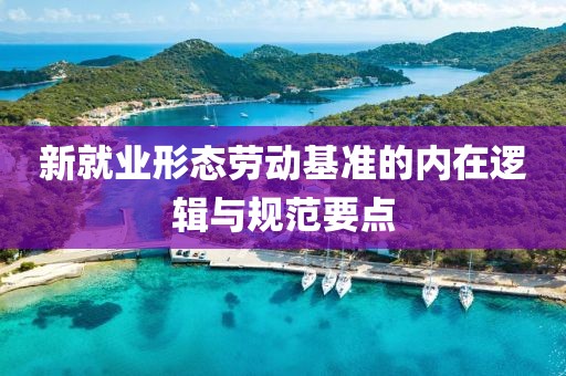 新就業(yè)形態(tài)勞動基準(zhǔn)的內(nèi)在邏輯與規(guī)范要點