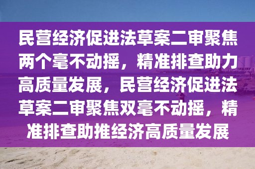 民營(yíng)經(jīng)濟(jì)促進(jìn)法草案二審聚焦兩個(gè)毫不動(dòng)搖，精準(zhǔn)排查助力高質(zhì)量發(fā)展，民營(yíng)經(jīng)濟(jì)促進(jìn)法草案二審聚焦雙毫不動(dòng)搖，精準(zhǔn)排查助推經(jīng)濟(jì)高質(zhì)量發(fā)展
