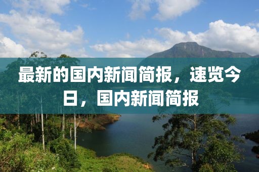 最新的國內新聞簡報，速覽今日，國內新聞簡報