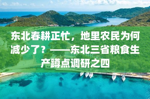 東北春耕正忙，地里農民為何減少了？——東北三省糧食生產蹲點調研之四