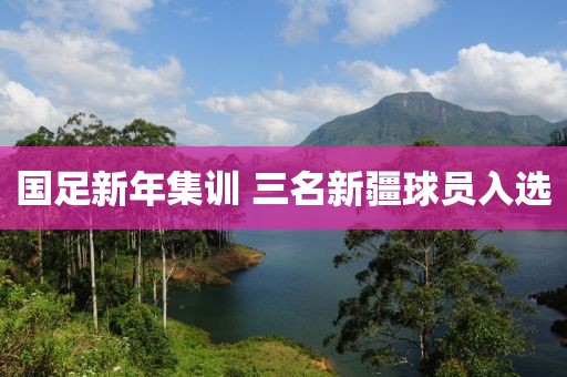 國足新年集訓 三名新疆球員入選
