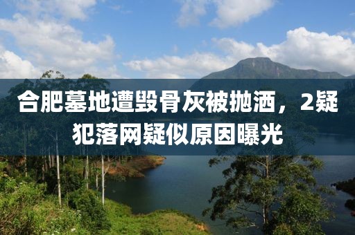 合肥墓地遭毀骨灰被拋灑，2疑犯落網疑似原因曝光