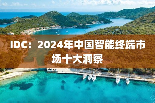 IDC：2024年中國智能終端市場十大洞察