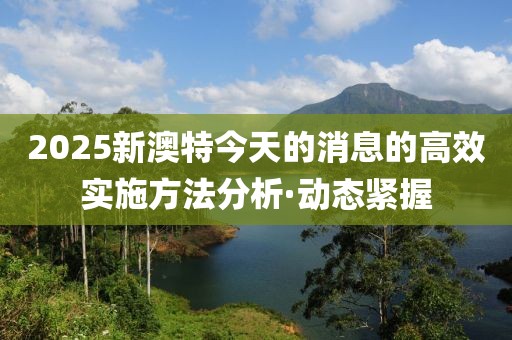 2025新澳特今天的消息的高效實(shí)施方法分析·動(dòng)態(tài)緊握