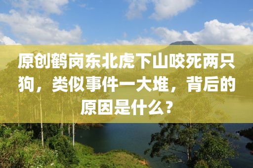 原創鶴崗東北虎下山咬死兩只狗，類似事件一大堆，背后的原因是什么？