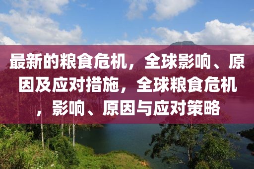 最新的糧食危機，全球影響、原因及應對措施，全球糧食危機，影響、原因與應對策略