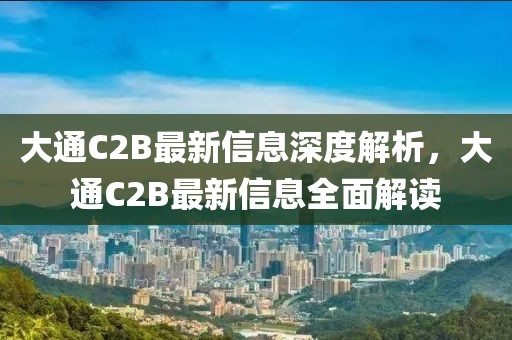 大通C2B最新信息深度解析，大通C2B最新信息全面解讀