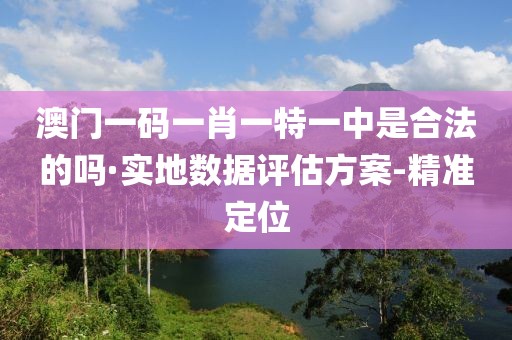 澳門一碼一肖一特一中是合法的嗎·實地數據評估方案-精準定位