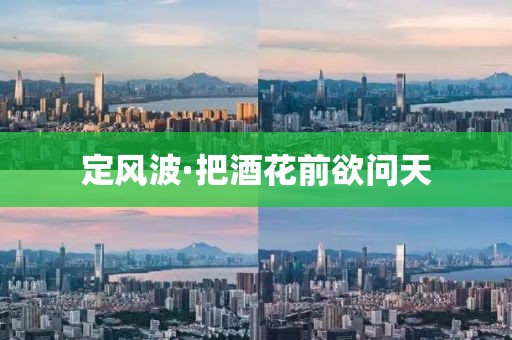 定風波·把酒花前欲問天