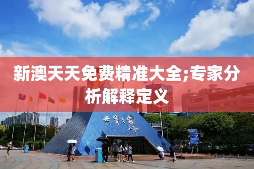 新澳天天免費精準大全;專家分析解釋定義