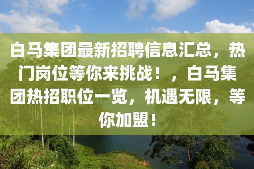 白馬集團最新招聘信息匯總，熱門崗位等你來挑戰！，白馬集團熱招職位一覽，機遇無限，等你加盟！