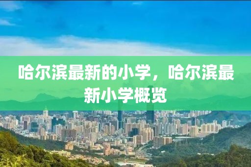 哈爾濱最新的小學，哈爾濱最新小學概覽