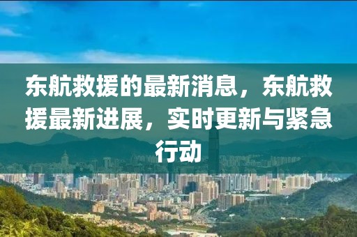 東航救援的最新消息，東航救援最新進展，實時更新與緊急行動