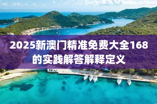 2025新澳門精準免費大全168的實踐解答解釋定義