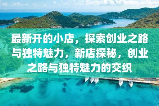 最新開的小店，探索創業之路與獨特魅力，新店探秘，創業之路與獨特魅力的交織