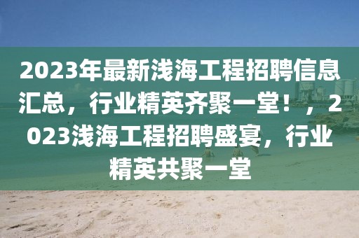 2023年最新淺海工程招聘信息匯總，行業精英齊聚一堂！，2023淺海工程招聘盛宴，行業精英共聚一堂