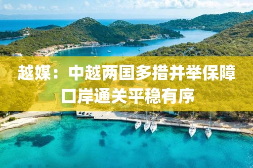 越媒：中越兩國多措并舉保障口岸通關(guān)平穩(wěn)有序