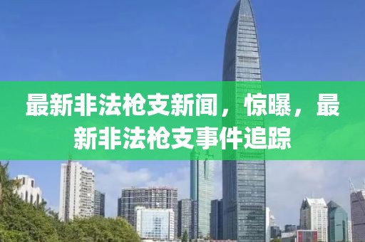 最新非法槍支新聞，驚曝，最新非法槍支事件追蹤