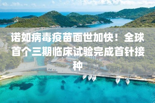 2025年3月4日 第79頁