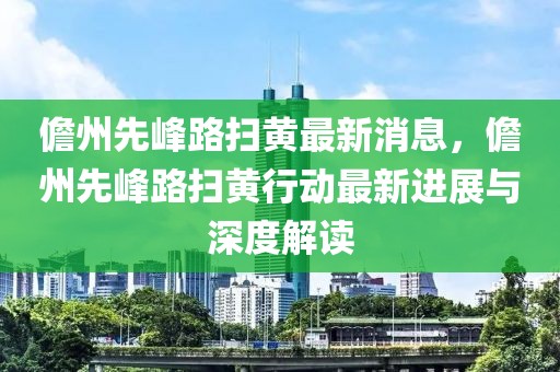 儋州先峰路掃黃最新消息，儋州先峰路掃黃行動最新進展與深度解讀