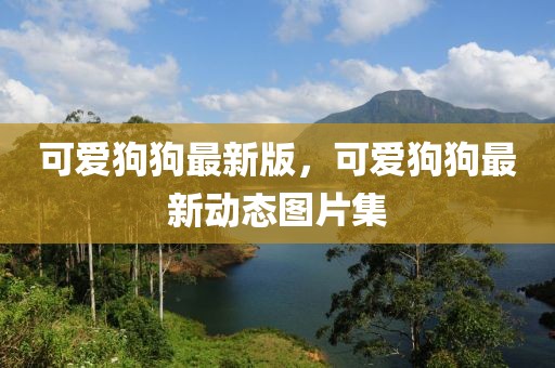 可愛狗狗最新版，可愛狗狗最新動態(tài)圖片集
